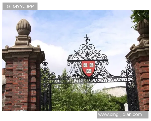 东德足球传奇人物回顾与影响力分析