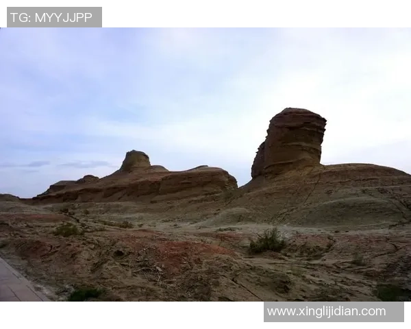 新疆足球星光璀璨展现自我实力 让世界见证新疆足球新崛起