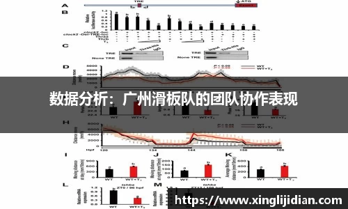 数据分析：广州滑板队的团队协作表现