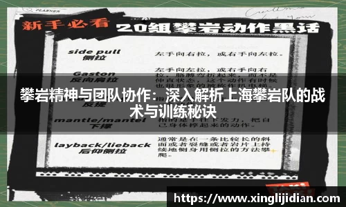 攀岩精神与团队协作：深入解析上海攀岩队的战术与训练秘诀