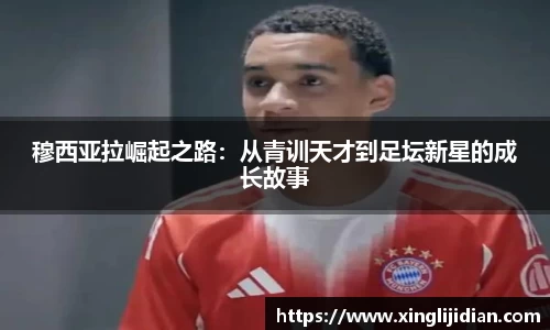 EMC易倍体育官方入口